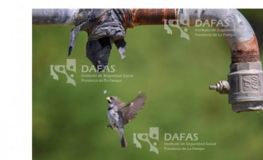 Ganadores del 4to Concurso de Fotografía de DAFAS