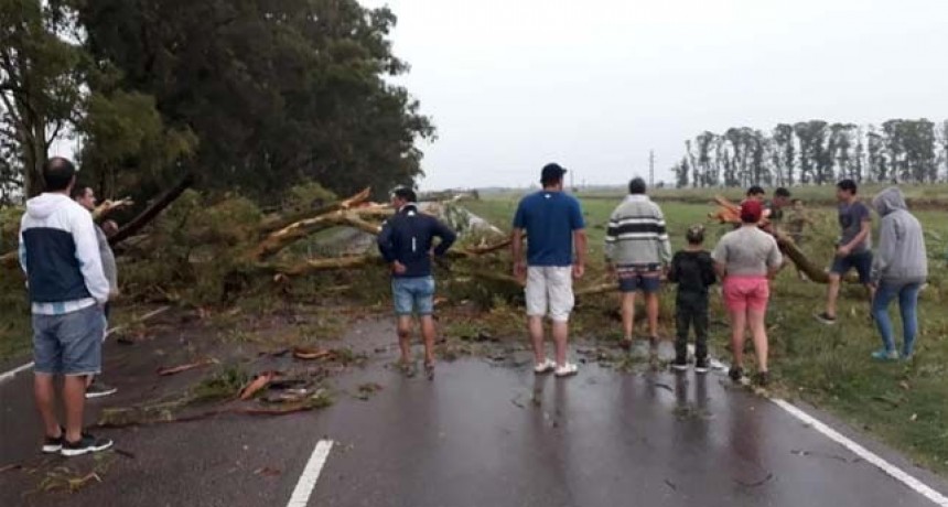 Una fuerte tormenta tiró árboles y cortó una mano de la Ruta Provincial 1