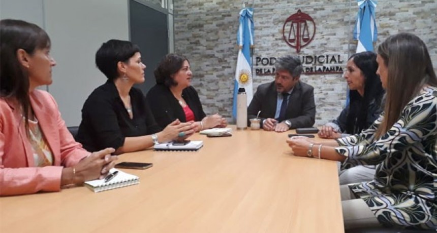 La Pampa: el 52 % de los detenidos es por violencia de género
