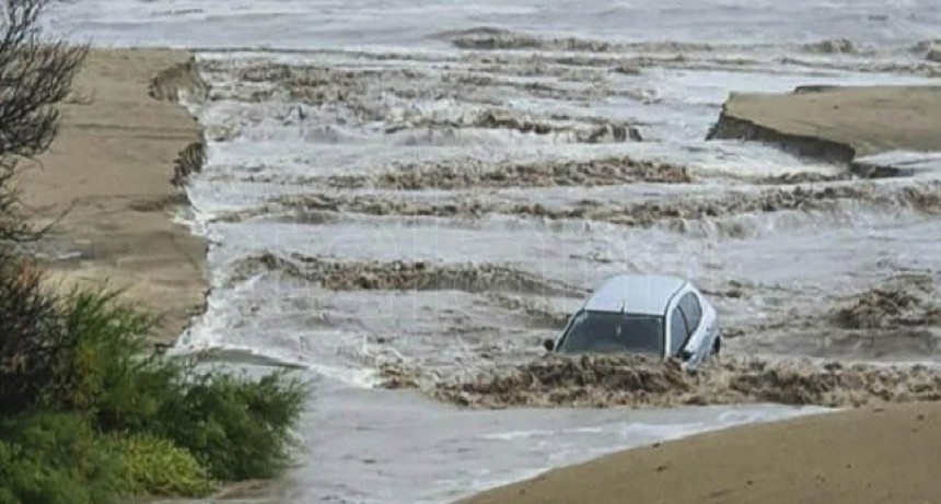 Temporal en la Costa Atlántica: calles anegadas, árboles caídos y alerta rojo