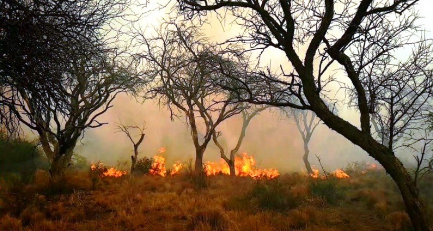 Acha: un incendio descontrolado quema campos y afecta la ruta 152