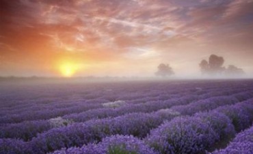 LUGARES....