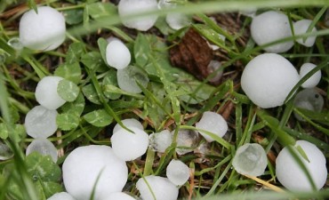 La piedra arrasó 5.000 hectáreas en el norte