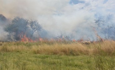 Declararon la emergencia agropecuaria en La Pampa por los incendios