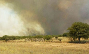Volvieron los incendios rurales
