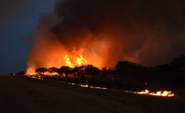 Tres nuevos incendios rurales en la provincia