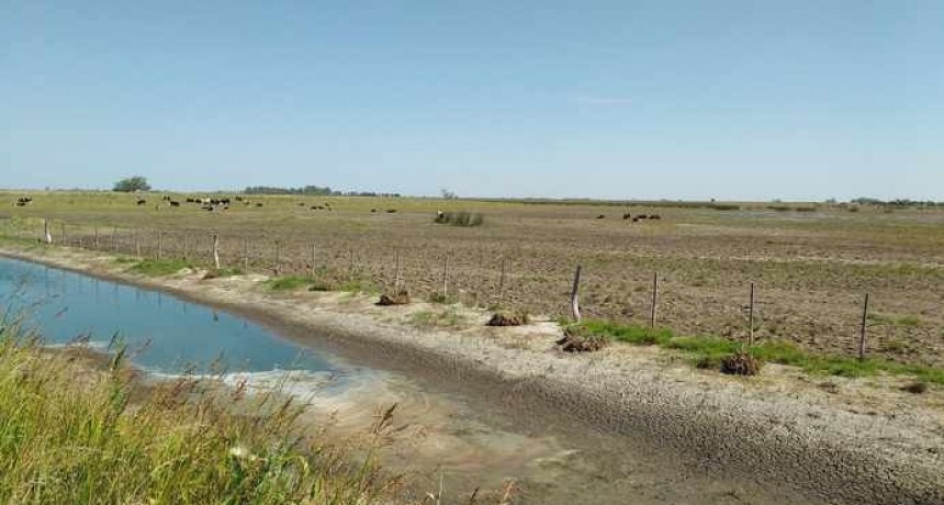 Declararon emergencia agropecuaria por la sequía en La Pampa