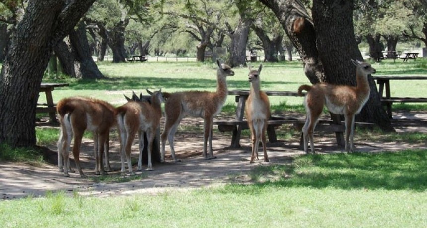 Parque Luro