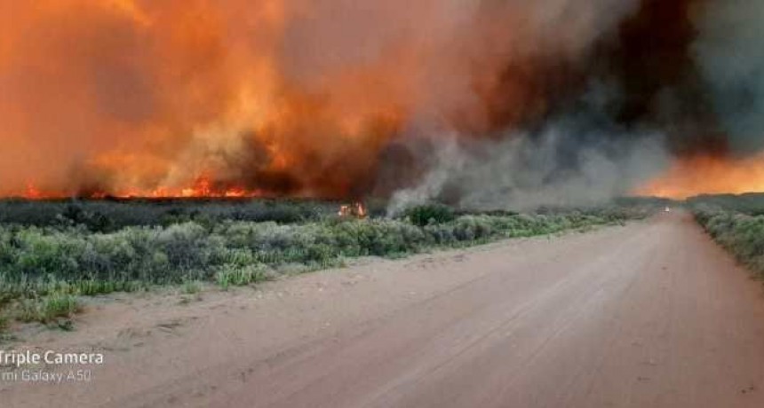 Defensa Civil y bomberos sofocaron incendios ocasionados por tormenta