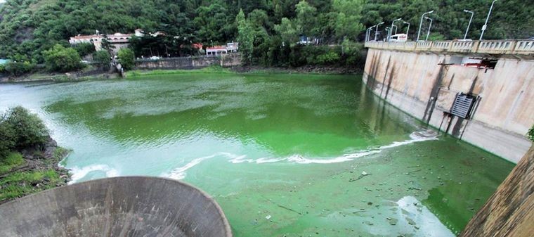 Advierten por algas tóxicas en ríos y lagos de 4 provincias