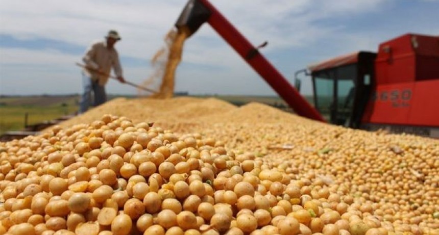 Todos los pequeños productores de La Pampa salen ganando con los cambios a las retenciones
