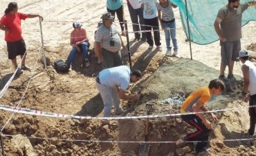 Fósil de un gliptodonte en Marcos Paz