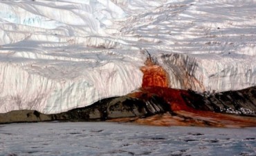 Un secreto "marciano" se esconde detrás de las cataratas de sangre de la Antártida