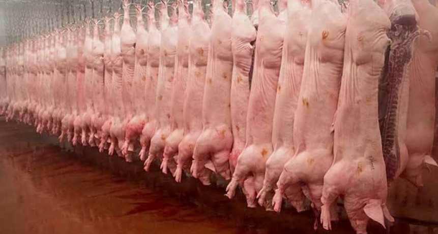 La Pampa prohíbe la carne de cerdo de EE.UU.