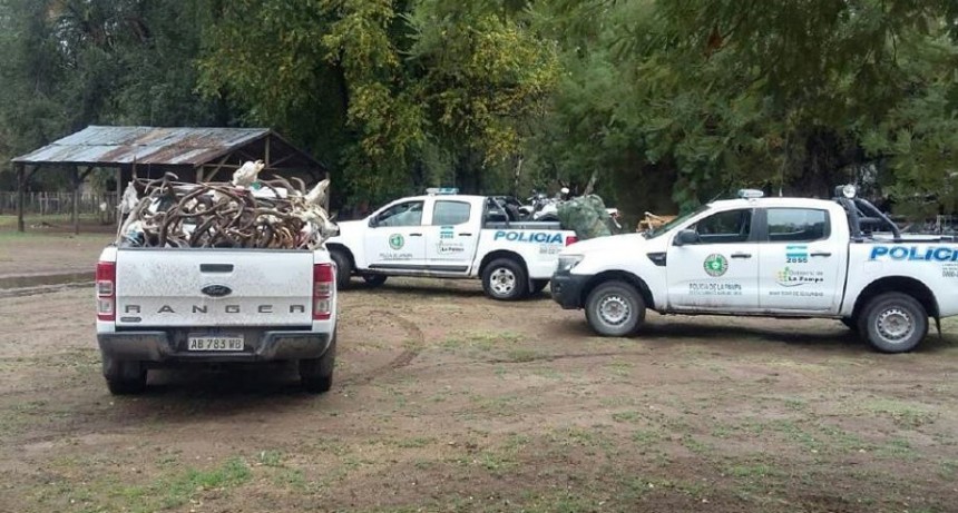 Decomisaron 44 armas, 15 mil municiones y cabezas de ciervos y pumas