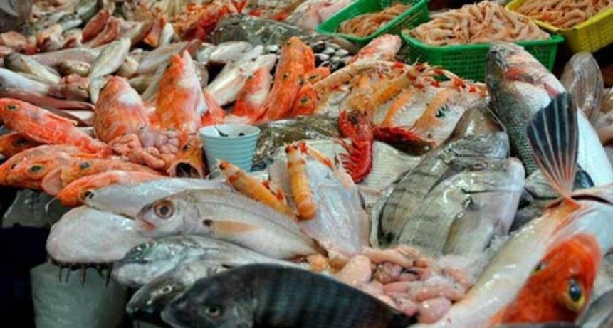 Así están los precios del pescado en Bahía a 15 días de Semana Santa