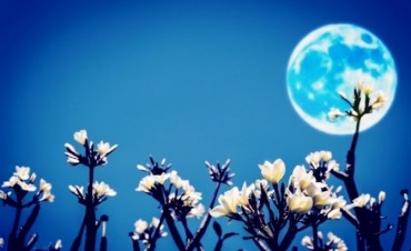 Qué es y cómo observar la Luna de Las Flores" del 10 y 11 de Mayo.