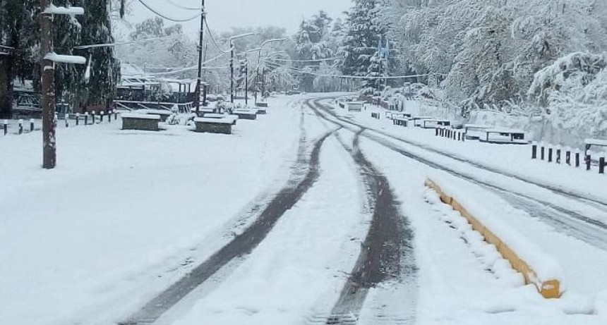 Las fotos de la nieve en La Pampa