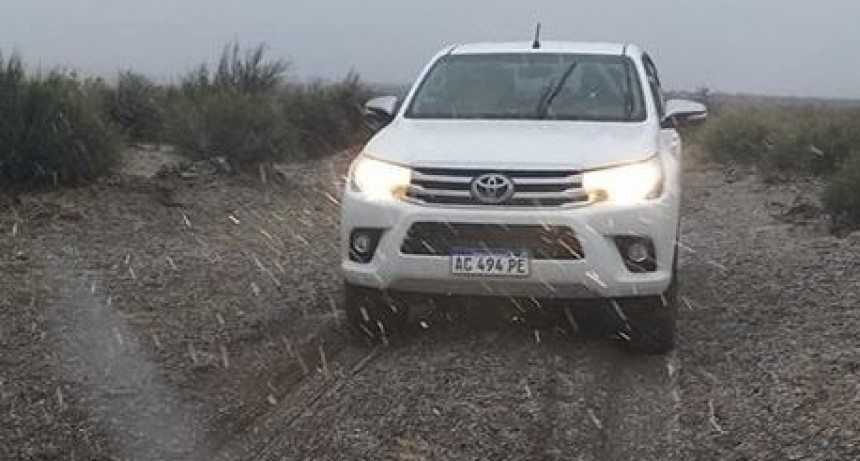 Nevó en campos del oeste de La Pampa