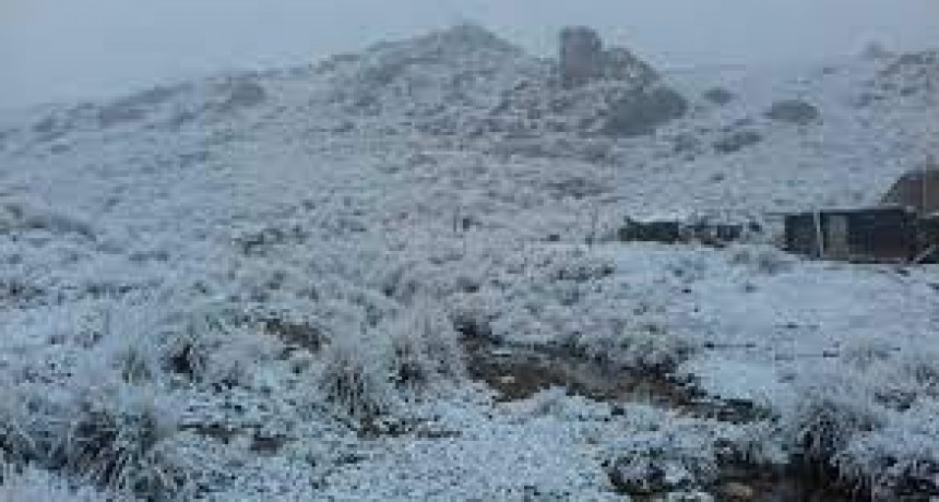 Comenzó a nevar en el Cerro Champaquí de Córdoba