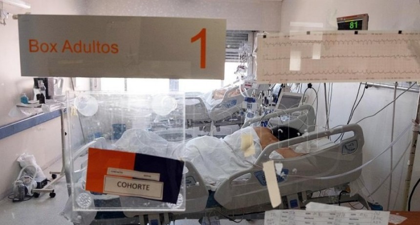 Un experto pidió endurecer las medidas y criticó los programas de TV sin cuidados