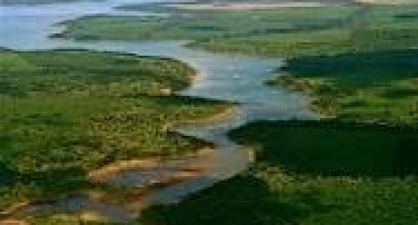 Los Esteros del Iberá renacen para seguir mostrando sus maravillas naturales