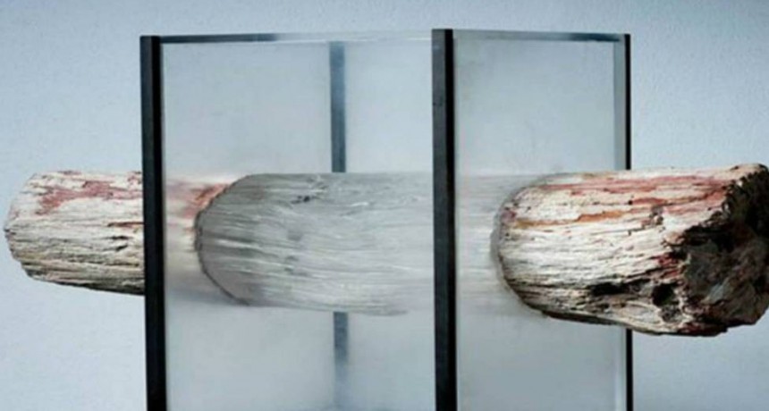 Crearon la madera transparente