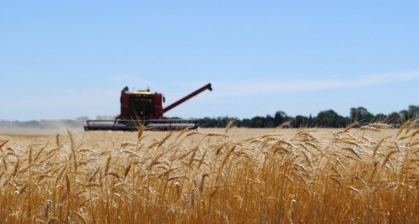 Vence la segunda cuota del impuesto Inmobiliario Rural