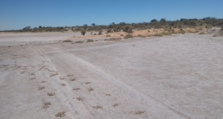 INVESTIGACIÓN DE LA UNLPAM EN VALLE DAZA, LA PAMPA