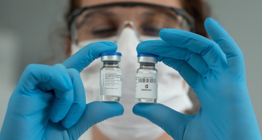 Investigadores argentinos desarrollaron un suero terapéutico anti COVID-19 que en pruebas de laboratorio neutralizó el virus