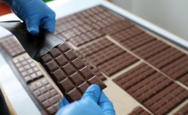 INFORMÓ EL FORO CONSULTIVO CIENTÍFICO Y TECNOLÓGICO
