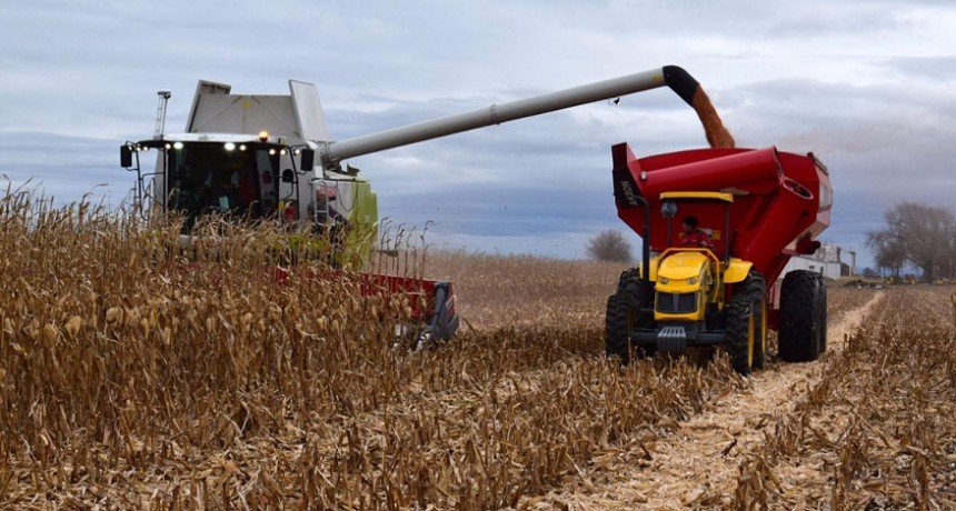 El 57,4% de la renta agrícola en La Pampa es retenida