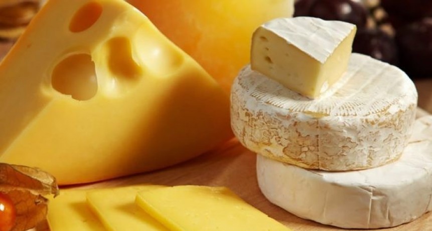El Consorcio Lácteo Pampeano podría exportar muzzarella