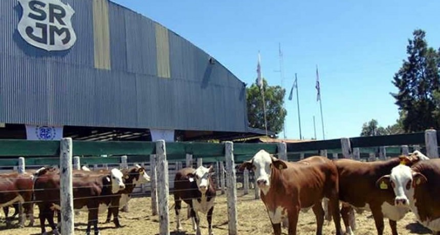 ClubRural SRJM, portal de beneficios nunca visto en el agro