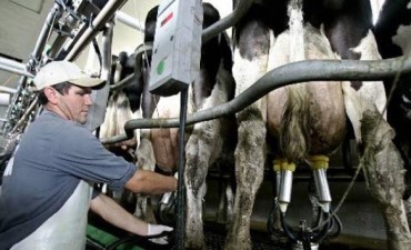 Se ampliará el subsidio a los tamberos