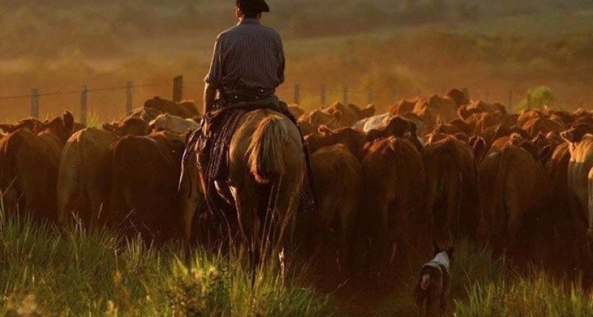 Aumenta el sueldo de los trabajadores rurales