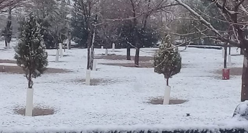 Nevó en el oeste y también hay pronóstico para Santa Rosa