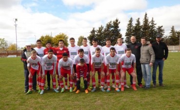 Liga Cultural zona sur