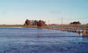 Es el final para la cosecha gruesa