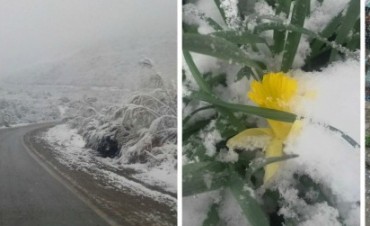 La nieve llegó a Bariloche en plena primavera