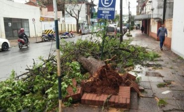 Hubo vientos de hasta 120 kilómetros por hora e inundaciones en Posadas