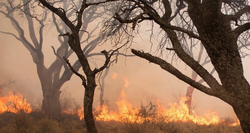 Incendios