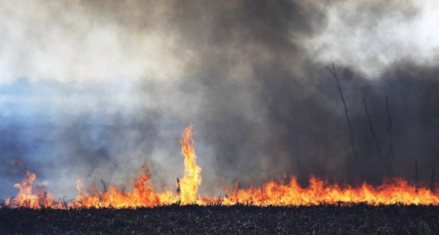 Córdoba, San Luis, Salta, Tucumán y Formosa luchan contra los incendios
