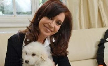 REGRESO CFK Y MOVIO LAS PIEZAS