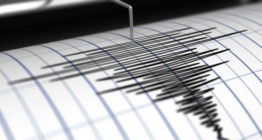 Un fuerte sismo se sintió en Mendoza y otros tres en Neuquén