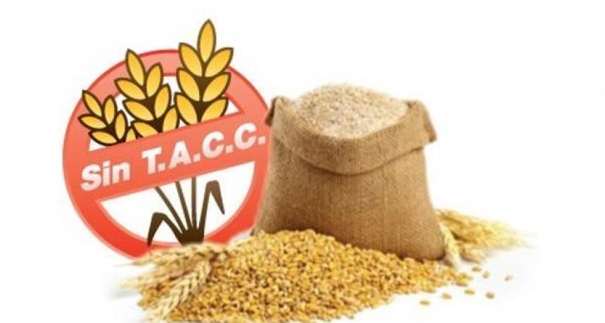 Obtienen aglutinante para alimentos sin TACC de la flora autóctona en San Luis