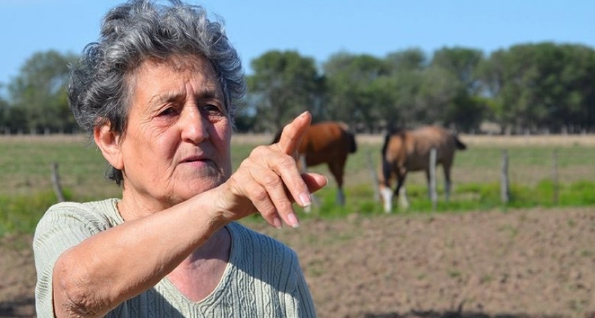 ¿Fantasmas en un campo de Winifreda?