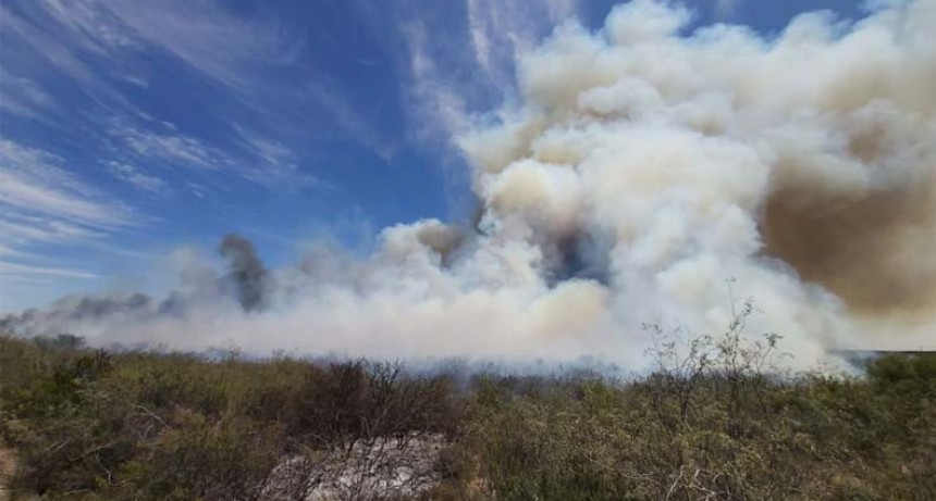 Incendio en campos de Chacharramendi queman 2.800 hectáreas