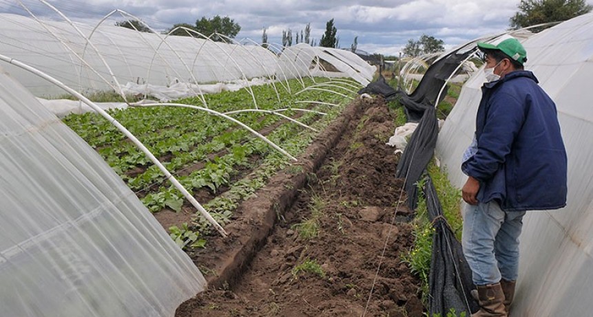 Productor sufrió pérdidas millonarias