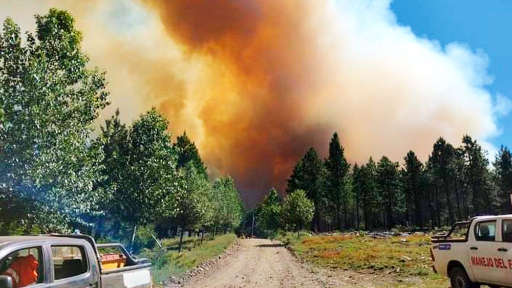 Siguen los incendios forestales en Bariloche y Aluminé